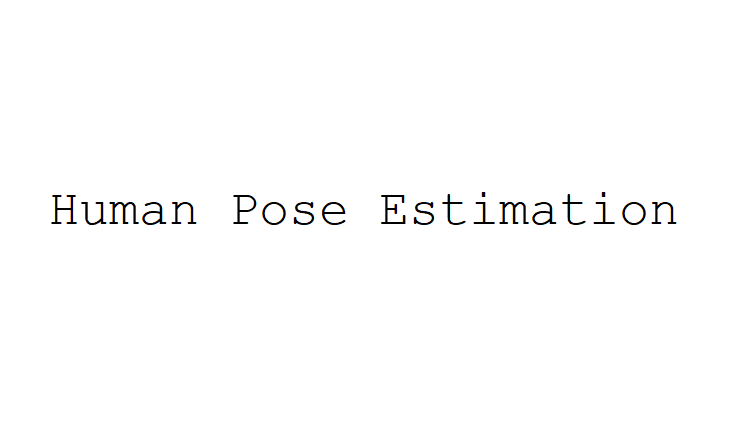 Human Pose Estimation